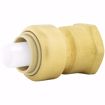 Picture of 1" x 1" FPT PlumBite® Push On Adapter, Bag of 1