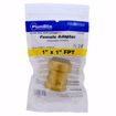 Picture of 1" x 1" FPT PlumBite® Push On Adapter, Bag of 1