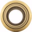 Picture of 3/4" x 3/4" MPT PlumBite® Push On Adapter, Bag of 1