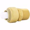 Picture of 1" x 1" MPT PlumBite® Push On Adapter, Bag of 1