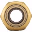 Picture of 3/8" x 1/2" FPT PlumBite® Push On Reducing Adapter, Bag of 1