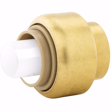 Picture of 1/2" PlumBite® Push On Cap, Bag of 1