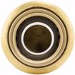 Picture of 1/2" PlumBite® Push On Cap, Bag of 1