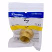 Picture of 1" PlumBite® Push On Cap, Bag of 1