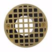 Picture of 2" PVC Shower Drain with 2" Plastic Spud and 4" Round Polished Brass Cast Strainer with Grout Ring