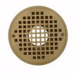 Picture of 2" PVC Shower Drain with 2" Brass Spud and 6" Round Polished Brass Strainer