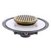 Picture of 2" Heavy Duty PVC Drain Base with 3-1/2" Plastic Spud and 5" Polished Brass Strainer with Ring