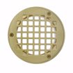 Picture of 3-1/2" IPS Metal Spud with 5" Polished Brass Round Strainer