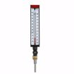 Picture of Industrial Multi-Angle Thermometer for Hot Water