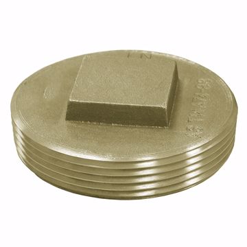 Picture of 3-1/2" Raised Head Code Pattern Plug