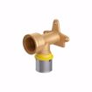 Picture of 16 mm (3/8" eq.) x 1/2" FPT PEXALGAS® Drop Ear 90° Elbow