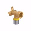 Picture of 20 mm (1/2" eq.) x 1/2" FPT PEXALGAS® Drop Ear 90° Elbow