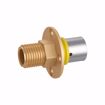 Picture of 16 mm (3/8" eq.) x 1/2" MPT PEXALGAS® Termination Flange