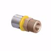 Picture of 20 mm (1/2" eq.) x 1/2" MPT PEXALGAS® Adapter