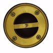 Picture of 4" Brass Sewer Stopper