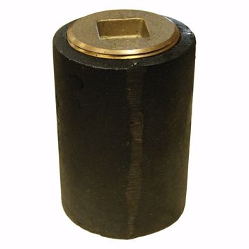 Picture of 4" Plain End Cleanout Long Pattern with 3" Countersunk (low sq.) Southern Code Plug - 4" Height