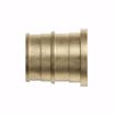 Picture of 1/2" F1960 Brass PEX Plug, Bag of 25