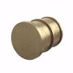 Picture of 1/2" F1960 Brass PEX Plug, Bag of 25