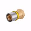 Picture of 26 mm (3/4" eq.) x 3/4" FPT PEXALGAS® Adapter