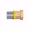 Picture of 32 mm (1" eq.) x 1" FPT PEXALGAS® Adapter