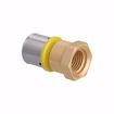 Picture of 32 mm (1" eq.) x 1" FPT PEXALGAS® Adapter