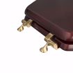 Picture of Mahogany Designer Wood Toilet Seat with Piano Finish, Closed Front with Cover, Polished Brass Hinges, Elongated