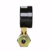 Picture of 2" 200 psi Gas or Water Test Gauge Assembly