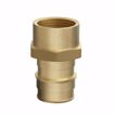 Picture of 3/4" F1960 x FIP Brass PEX Adapter, Bag of 25