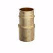 Picture of 3/4" F1960 x 1/2" Male Brass PEX Sweat Adapter, Bag of 25