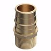 Picture of 1" F1960 x 3/4" MIP Brass PEX Adapter, Bag of 10