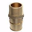 Picture of 1" F1960 x 3/4" MIP Brass PEX Adapter, Bag of 10