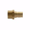 Picture of 1/2" F1960 x MIP Brass PEX Adapter, Bag of 25