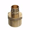 Picture of 1/2" F1960 x 3/4" MIP Brass PEX Adapter, Bag of 25