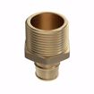 Picture of 1/2" F1960 x 3/4" MIP Brass PEX Adapter, Bag of 25