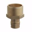 Picture of 3/4" F1960 x 1" MIP Brass PEX Adapter, Bag of 10