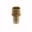 Picture of 3/4" F1960 x MIP Brass PEX Adapter, Bag of 25