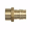 Picture of 1" F1960 x FIP Brass PEX Adapter, Bag of 10