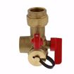 Picture of 3/4” IPS Tankless Water Heater Valve Service Kit with Pressure Relief Valve