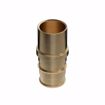 Picture of 1/2" F1960 Brass PEX Male Sweat Adapter, Bag of 25