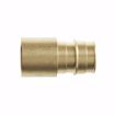 Picture of 1" F1960 Brass PEX Female Sweat Adapter, Bag of 10