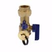 Picture of 3/4” SWT Tankless Water Heater Valve Service Kit