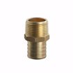 Picture of 1" F1807 x 3/4" MIP Brass PEX Adapter, Bag of 25