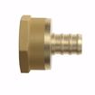 Picture of 1/2" F1807 x FIP Brass PEX Adapter, Bag of 50