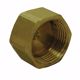 Picture of 1/4" Brass Compression Cap