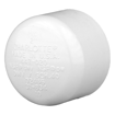 Picture of 2" PVC Cap