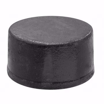 Picture of 2” Service Weight Blind Plug