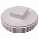 Picture of 2-1/2" Raised Head Cleanout Plug