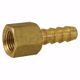 Picture of 1/4" x 1/8" Brass Hose Barb x FIP Adapter