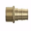 Picture of 1-1/4” F1960 x MIP Brass PEX Adapter, Bag of 6