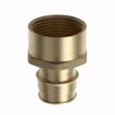 Picture of 1-1/4” F1960 x FIP Brass PEX Adapter, Bag of 6